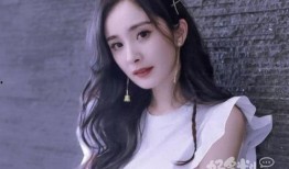 杨肸子娱乐爆料,娱乐圈幕后真相大揭秘