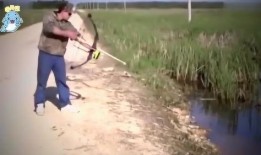 娱乐吃瓜钓鱼,钓鱼揭秘幕后故事