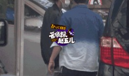 董子健被爆料了吗视频全集,真相与争议交织